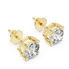 Stud Earrings